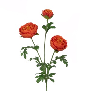 Eco Fluffy Ranunculus Spray, Orange