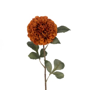 Eco Pom Dahlia Spray