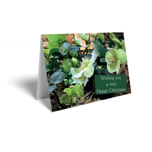 Folded Card - Wishing You A Very Happy Christmas Hellebore - Pk25