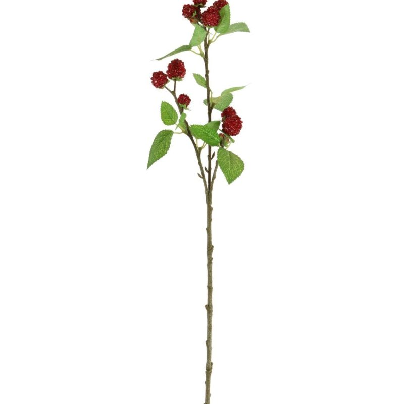 64cm Fruit Stem Raspberry - 167346
